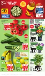Gazetka promocyjna Kaufland - Mocny Start - Gazetka - ważna od 19.07 do 19.07.2023 - strona 7 - produkty: Banany, Gra, Chryzantema, Cytryny, Bukiet, Grunt, Mango, Pomidory