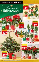 Gazetka promocyjna Biedronka - Od Poniedziałku - Gazetka - ważna od 13.12 do 13.12.2025 - strona 31 - produkty: Hama, Sok, Poinsecja