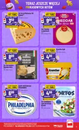 Gazetka promocyjna PoloMarket - Katalog Frikasy - Gazetka - ważna od 08.09 do 08.09.2026 - strona 3 - produkty: Cheddar, Ser, Gra, Radamer, Tera, Sałat, Serek, Philadelphia, LG
