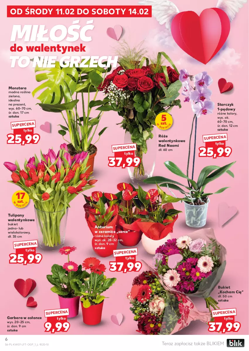 Gazetka promocyjna Kaufland - Gazetka tygodnia - ważna 11.02 do 18.02.2026 - strona 6 - produkty: Bukiet, Gerber, Koc, Ser, Storczyk, Tera, Tulipan