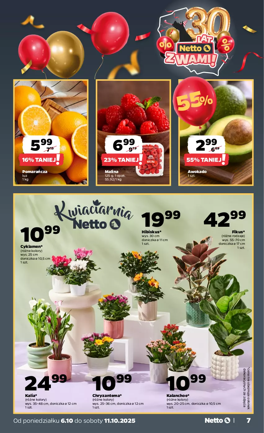 Gazetka promocyjna Netto - Od Poniedziałku - ważna 06.10 do 11.10.2025 - strona 7 - produkty: Chryzantema, Cyklamen, Hibiskus, Kalanchoe