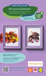 Gazetka promocyjna Lidl - GAZETKA - Gazetka - ważna od 19.11 do 19.11.2022 - strona 60 - produkty: Wazon