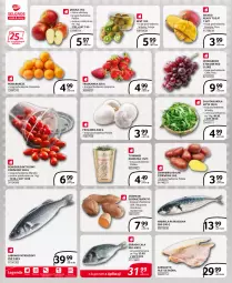 Gazetka promocyjna Selgros - Extra Oferta - Gazetka - ważna od 28.02 do 28.02.2022 - strona 4 - produkty: Piec, Sok, Rukola, Kiwi, Ziemniaki, Pomarańcze, Sałat, Pieczarka, Wino, Mango, Jabłka