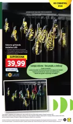 Gazetka promocyjna Lidl - GAZETKA - Gazetka - ważna od 30.04 do 30.04.2023 - strona 39 - produkty: Piec, Por, Girlanda, Orka, Akumulator
