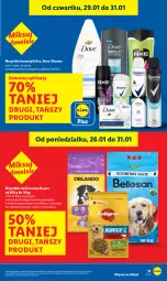Gazetka promocyjna Lidl - GAZETKA - Gazetka - ważna od 31.01 do 31.01.2026 - strona 17 - produkty: Rexona, Dove