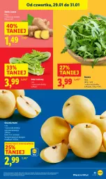 Gazetka promocyjna Lidl - GAZETKA - Gazetka - ważna od 31.01 do 31.01.2026 - strona 23 - produkty: Rukola, Seler naciowy, Imbir