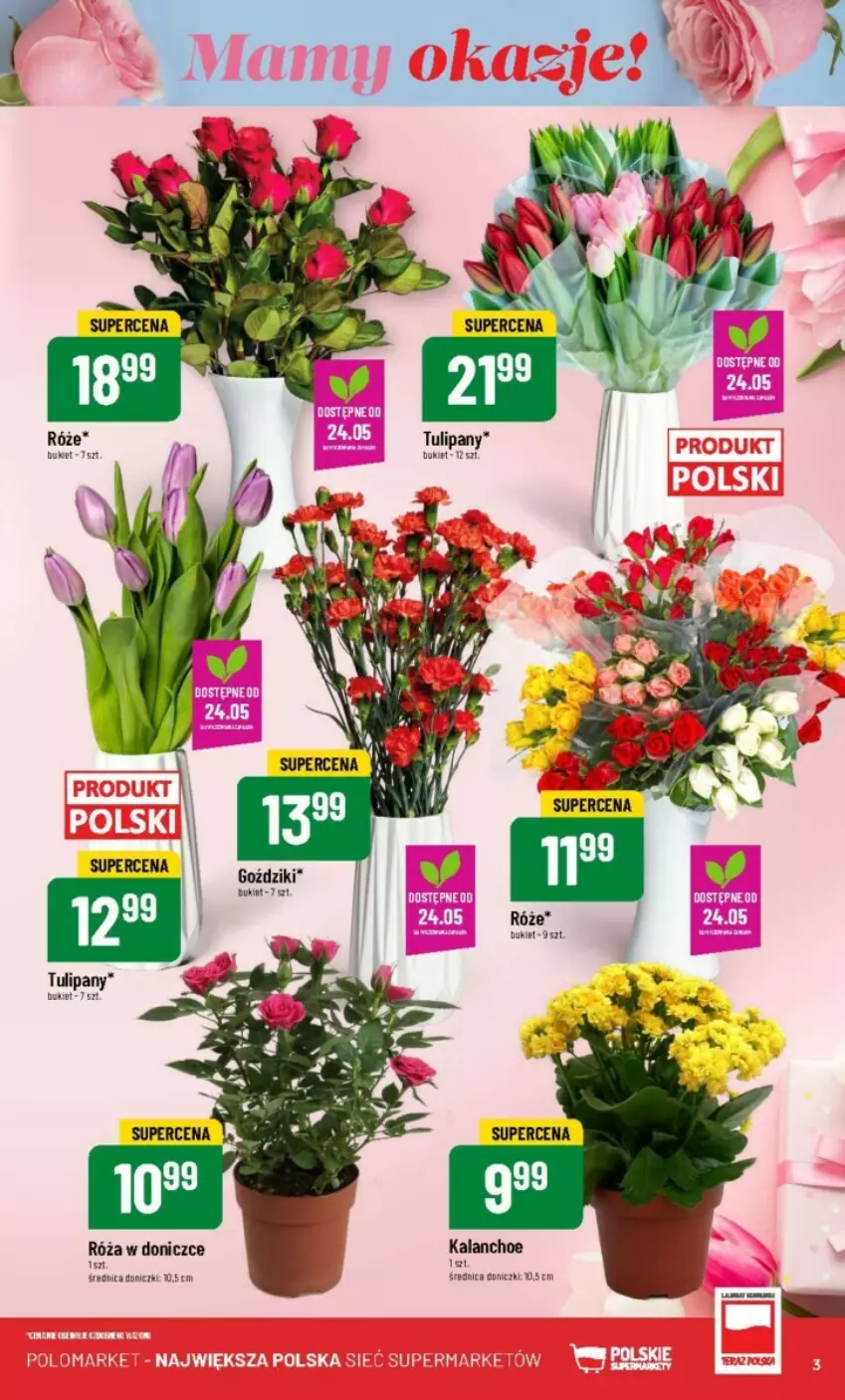 Gazetka promocyjna PoloMarket - ważna 22.05 do 28.05.2024 - strona 23 - produkty: Bukiet, Kalanchoe, Róża