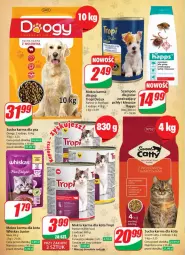 Gazetka promocyjna Dino - Gazetka 26 / 2024 - Gazetka - ważna od 02.07 do 02.07.2024 - strona 54 - produkty: Mokra karma, Por, Whiskas, Mars, Szampon, Sucha karma
