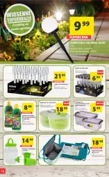 Gazetka promocyjna Arhelan - Gazetka - Gazetka - ważna od 14.05 do 14.05.2023 - strona 18 - produkty: Dzbanek, Fresco, Surf, Pojemnik, Sałat, Torba, Pojemnik do przechowywania, Lampa, Nawóz