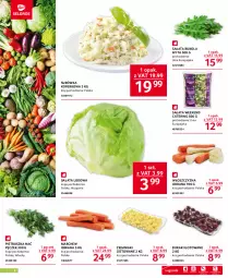 Gazetka promocyjna Selgros - Oferta gastronomiczna - Gazetka - ważna od 17.05 do 17.05.2023 - strona 2 - produkty: Pietruszka, Surówka, Sałata lodowa, Rukola, Ziemniaki, Sałat, Buraki