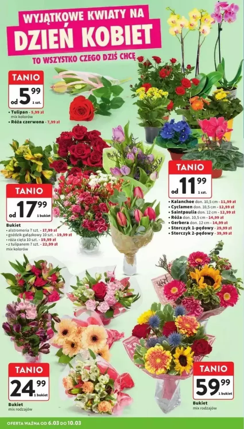 Gazetka promocyjna Intermarche - ważna 06.03 do 12.03.2025 - strona 2 - produkty: Bukiet, Gerber, Kalanchoe, Róża, Storczyk, Tulipan