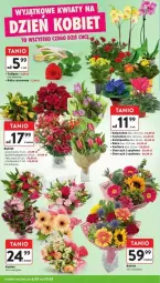 Gazetka promocyjna Intermarche - Gazetka - ważna od 12.03 do 12.03.2025 - strona 2 - produkty: Gerber, Tulipan, Róża, Kalanchoe, Storczyk, Bukiet