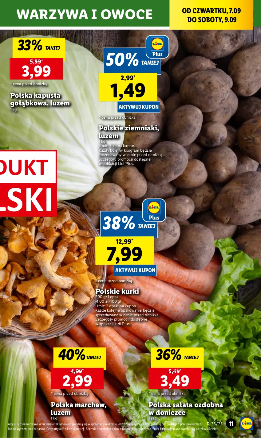 Gazetka promocyjna Lidl - GAZETKA - ważna 06.09 do 09.09.2023 - strona 31 - produkty: Gra, Olej, Owoce, Sałat, Warzywa, Warzywa i owoce, Ziemniaki