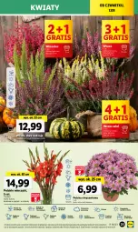 Gazetka promocyjna Lidl - GAZETKA - Gazetka - ważna od 09.09 do 09.09.2023 - strona 45 - produkty: Sok, Por, Gra, Chryzantema, Cień, O nas, Bukiet, Miecz