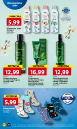 Gazetka promocyjna Lidl - GAZETKA - Gazetka - ważna od 22.06 do 22.06.2022 - strona 52 - produkty: Dezodorant, Karp, Skarpetki, Mleczko, Szampon, Peeling, Bazyl, Wasa