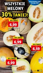 Gazetka promocyjna Lidl - GAZETKA - Gazetka - ważna od 22.06 do 22.06.2022 - strona 7 - produkty: Melon