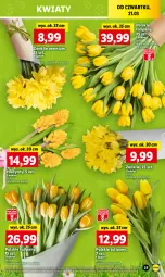 Gazetka promocyjna Lidl - GAZETKA - Gazetka - ważna od 24.03 do 24.03.2024 - strona 27 - produkty: Hiacynt, Tulipan, Bukiet