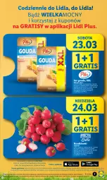 Gazetka promocyjna Lidl - GAZETKA - Gazetka - ważna od 24.03 do 24.03.2024 - strona 7 - produkty: Ser, Gra, Gouda, Olej