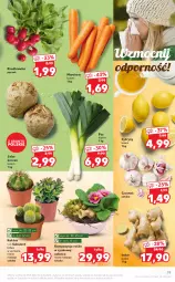 Gazetka promocyjna Kaufland - OFERTA TYGODNIA - Gazetka - ważna od 02.02 do 02.02.2022 - strona 19 - produkty: Por, Seler korzeń, Kaktus, Czosnek, Cytryny, Cynk, Grunt, Rzodkiewka, Sukulent, Imbir