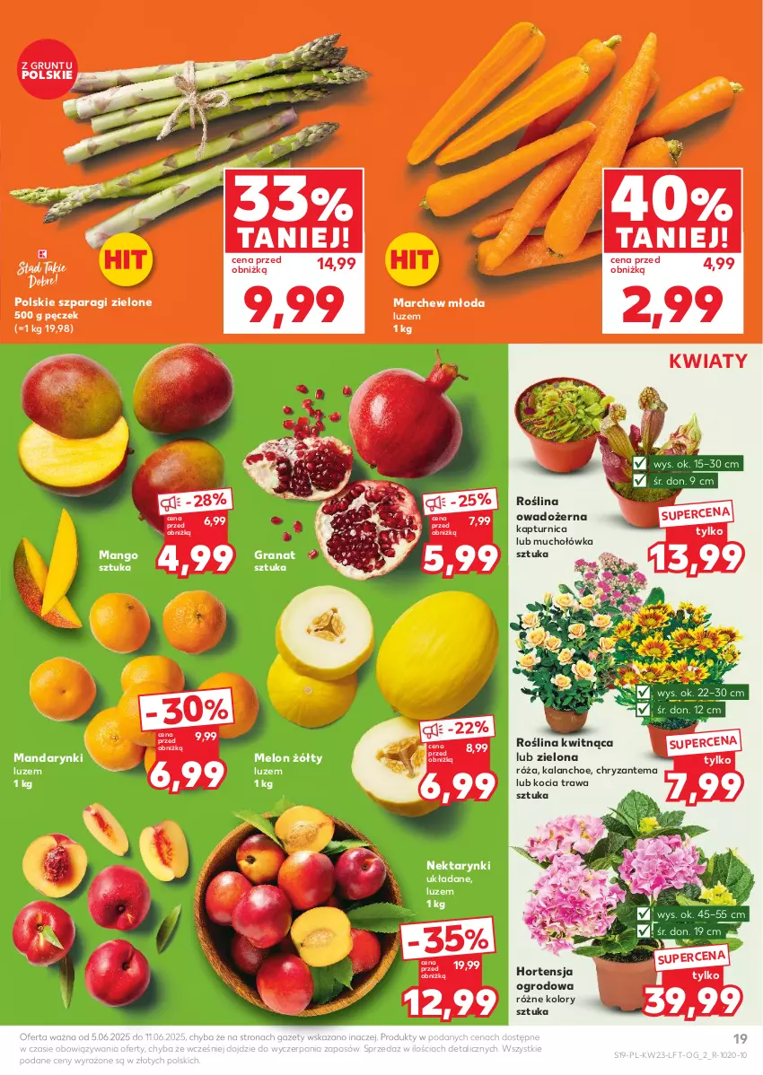 Gazetka promocyjna Kaufland - Gazetka tygodnia - ważna 05.06 do 11.06.2025 - strona 19 - produkty: Chryzantema, Gra, Granat, Grunt, Kalanchoe, Koc, Kocia trawa, Mandarynki, Mango, Melon, Nektar, Róża