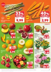 Gazetka promocyjna Kaufland - Gazetka tygodnia - Gazetka - ważna od 11.06 do 11.06.2025 - strona 19 - produkty: Mandarynki, Koc, Gra, Róża, Chryzantema, Granat, Kalanchoe, Kocia trawa, Grunt, Mango, Melon, Nektar
