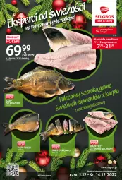 Gazetka promocyjna Selgros - Katalog eksperci od świeżości - Gazetka - ważna od 24.12 do 24.12.2022 - strona 1 - produkty: Karp, Tusz, LG