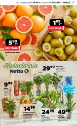 Gazetka promocyjna Netto - Netto Gazetka Food 35/24A - Gazetka - ważna od 31.08 do 31.08.2024 - strona 7 - produkty: Róża, Kiwi, Storczyk, Grejpfrut