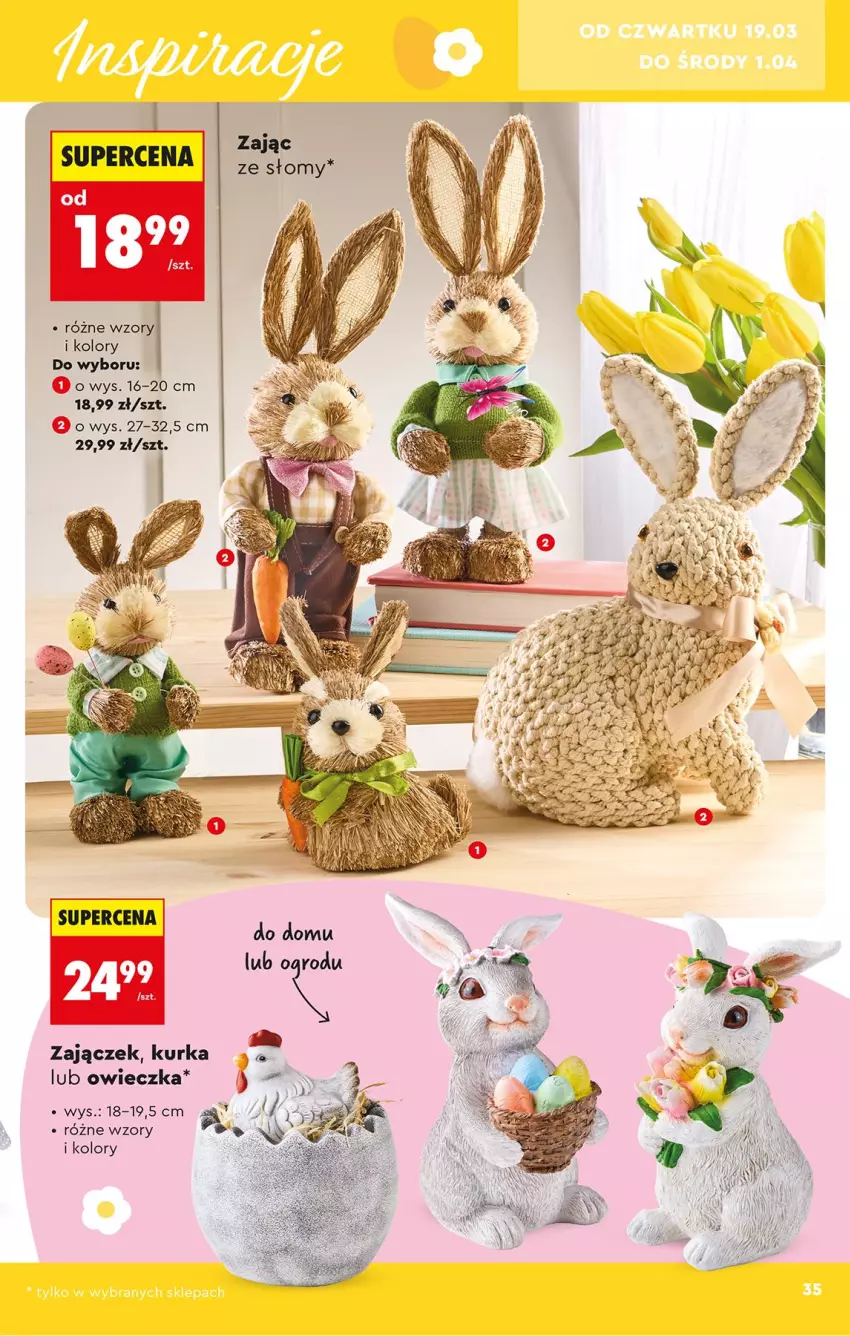 Gazetka promocyjna Biedronka - Okazje Tygodnia - ważna 14.03 do 28.03.2026 - strona 35