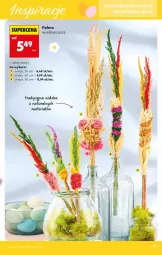 Gazetka promocyjna Biedronka - Okazje Tygodnia - Gazetka - ważna od 28.03 do 28.03.2026 - strona 31 - produkty: AEG, Ozdoba