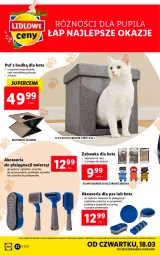 Gazetka promocyjna Lidl - GAZETKA - Gazetka - ważna od 20.03 do 20.03.2021 - strona 32 - produkty: Puf, Koc, Szczotka, Pojemnik, Zabawka, Przysmaki