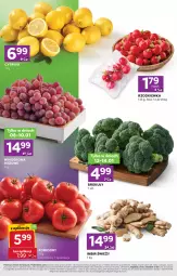 Gazetka promocyjna Stokrotka - Stokrotka Express - Gazetka - ważna od 14.01 do 14.01.2026 - strona 2 - produkty: Warzywa, Cytryny, Owoce, Brokuły, Rzodkiewka, Mięso, Imbir