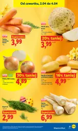 Gazetka promocyjna Lidl - Gazetka ważna od 2.04 do 4.04 - Gazetka - ważna od 04.04 do 04.04.2026 - strona 27 - produkty: Cebula, Pietruszka, Ziemniaki, Sałat