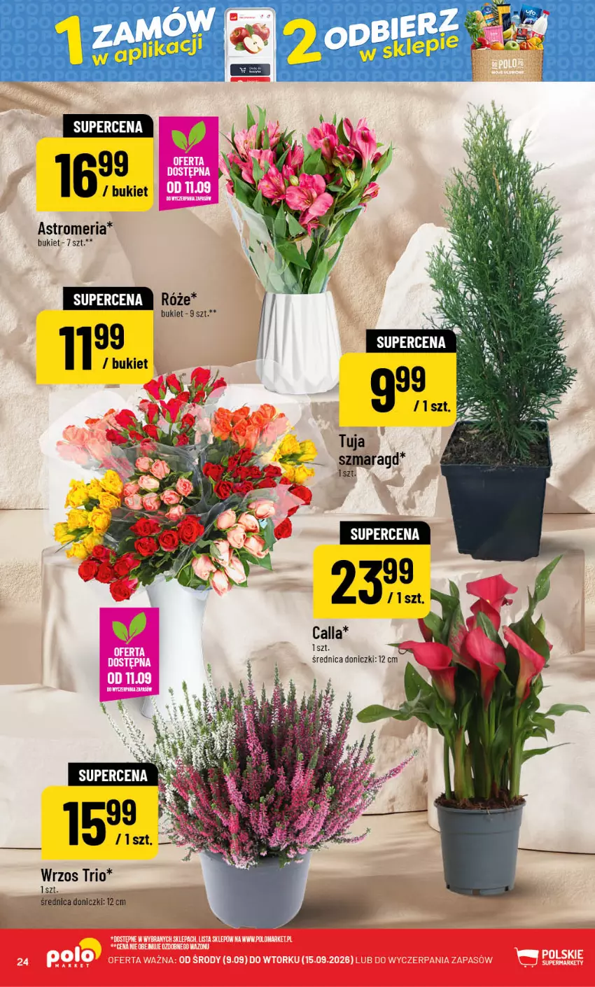 Gazetka promocyjna PoloMarket - Gazetka POLOmarket - ważna 09.09 do 15.09.2026 - strona 24 - produkty: Bukiet