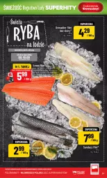 Gazetka promocyjna PoloMarket - Gazetka POLOmarket - Gazetka - ważna od 15.09 do 15.09.2026 - strona 39 - produkty: Zupa, Tran, Sandacz filet, Sandacz