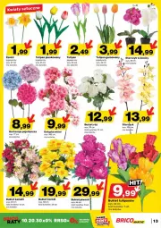Gazetka promocyjna Bricomarche - Gazetka - ważna od 05.04 do 05.04.2025 - strona 5 - produkty: Piwo, Tulipan, Storczyk, Bukiet