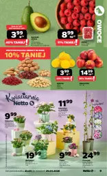 Gazetka promocyjna Netto - Od Poniedziałku - Gazetka - ważna od 29.03 do 29.03.2026 - strona 9 - produkty: Kalanchoe, Siatka, Nektarynka, Owoce, Nektar