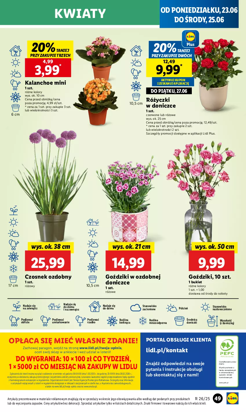 Gazetka promocyjna Lidl - GAZETKA - ważna 23.06 do 25.06.2025 - strona 63 - produkty: Bukiet, Cień, Czosnek, Gra, Kalanchoe, Laur, Mola, O nas, Por, Portal, Sok