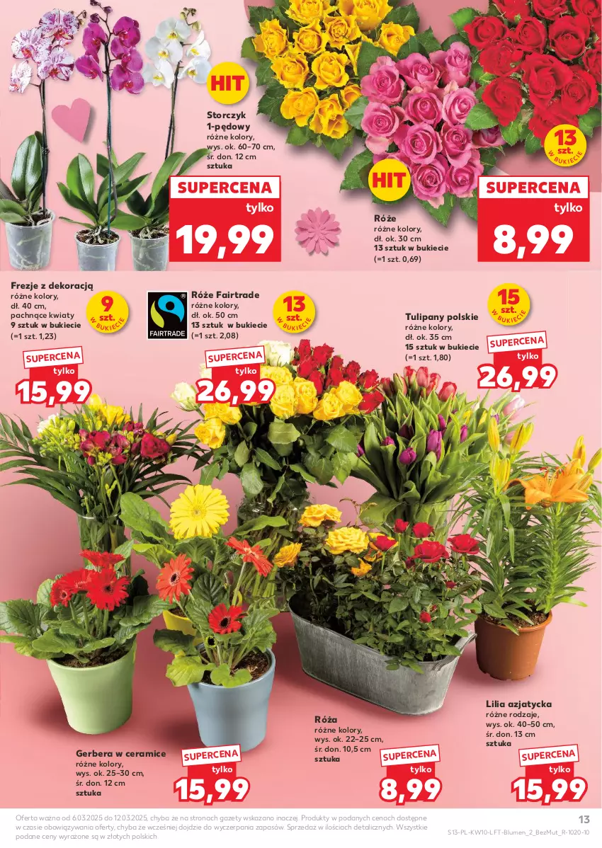 Gazetka promocyjna Kaufland - Gazetka tygodnia - ważna 06.03 do 12.03.2025 - strona 13 - produkty: Fa, Gerber, Róża, Storczyk, Tulipan