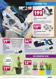 Gazetka promocyjna Aldi - ALE! CENA w ALDI - Gazetka - ważna od 20.02 do 20.02.2021 - strona 29 - produkty: Top, Sok, Ser, Hiacynt, Uchwyty, Wyrzynarka, Narcyz, Pilarka tarczowa