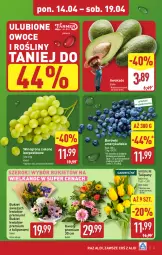 Gazetka promocyjna Aldi - Pełna oferta - Gazetka - ważna od 19.04 do 19.04.2025 - strona 3 - produkty: Tulipan, Winogrona, Bukiet, Owoce, Wino