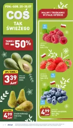 Gazetka promocyjna Aldi - Pełny katalog - Gazetka - ważna od 30.07 do 30.07.2022 - strona 2 - produkty: Borówka, Borówka amerykańska, Truskawki, Maliny