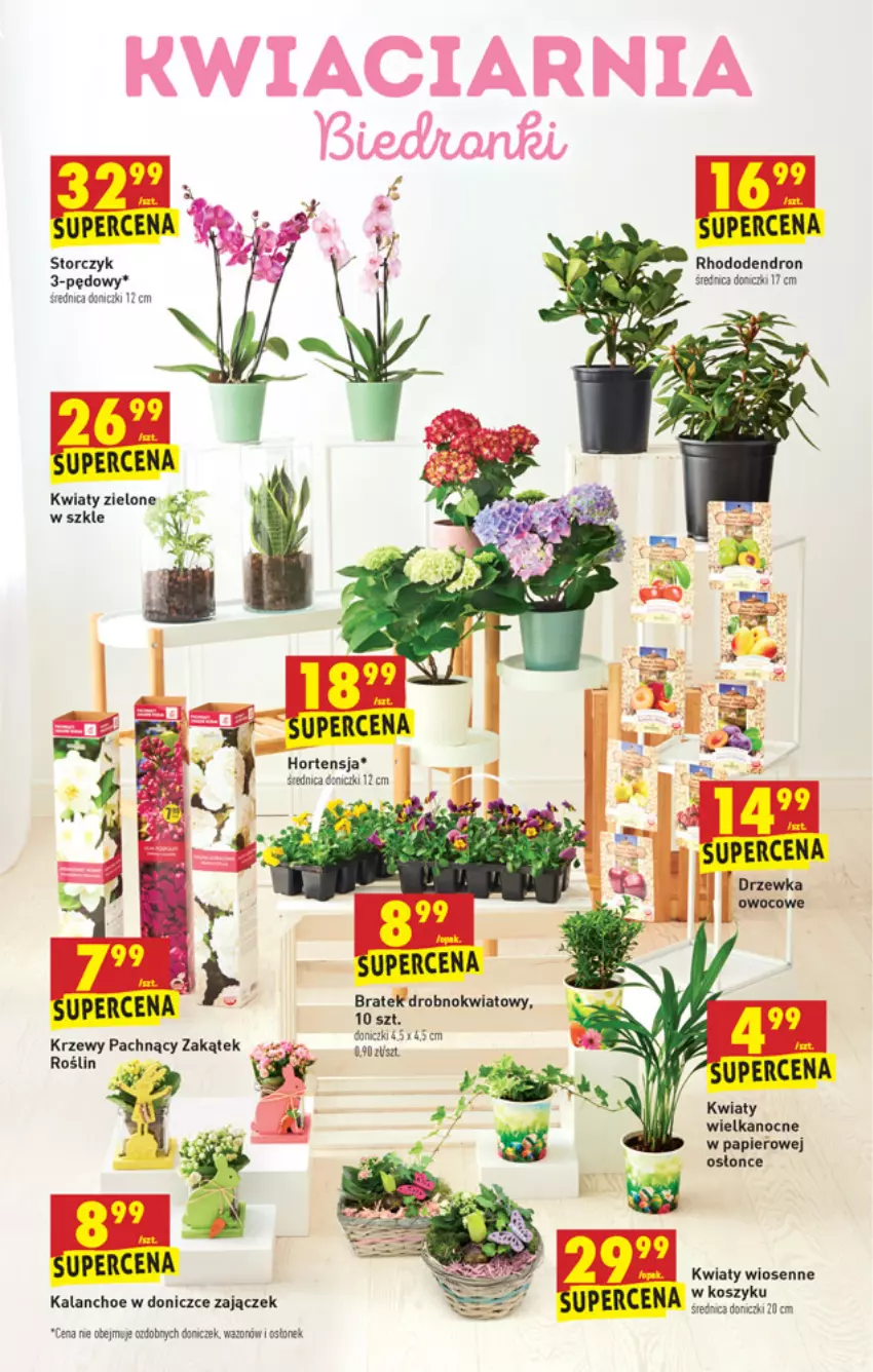 Gazetka promocyjna Biedronka - W tym tygodniu PN - ważna 25.03 do 31.03.2021 - strona 61 - produkty: Kalanchoe, Kosz, Papier, Storczyk