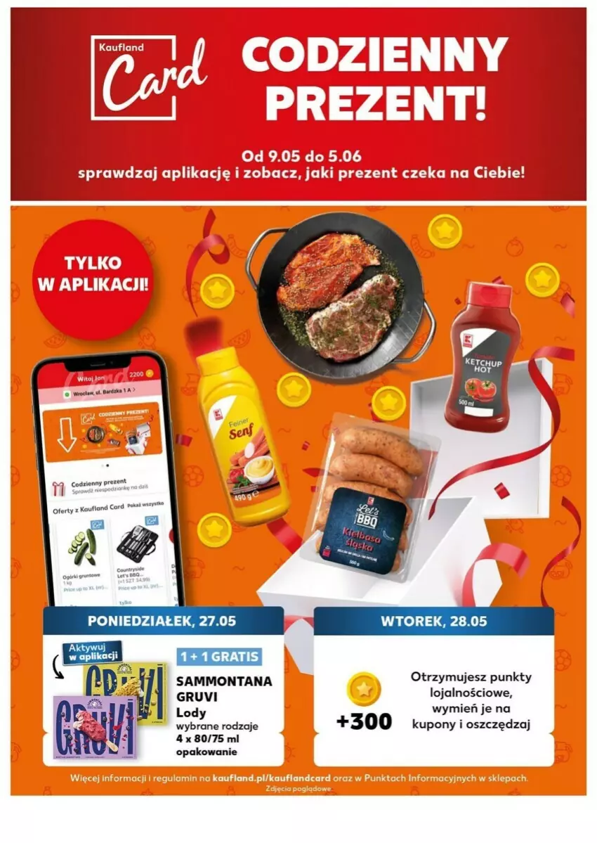 Gazetka promocyjna Kaufland - ważna 27.05 do 28.05.2024 - strona 21 - produkty: Fa, Grunt, Lody