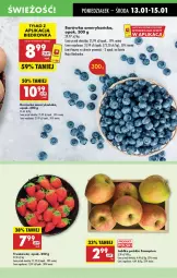 Gazetka promocyjna Biedronka - Od Poniedziałku - Gazetka - ważna od 18.01 do 18.01.2025 - strona 25 - produkty: Borówka, Borówka amerykańska, Truskawki, Szampion