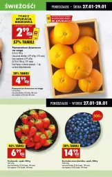 Gazetka promocyjna Biedronka - Od Poniedziałku - Gazetka - ważna od 01.02 do 01.02.2025 - strona 29 - produkty: Ser, Borówka, Borówka amerykańska, Truskawki, Pomarańcze, Deser