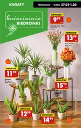 Gazetka promocyjna Biedronka - Od Poniedziałku - Gazetka - ważna od 01.02 do 01.02.2025 - strona 31 - produkty: Sok, Gin, Wazon, Fa