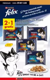 Gazetka promocyjna Biedronka - Od Poniedziałku - Gazetka - ważna od 01.02 do 01.02.2025 - strona 80 - produkty: Pur, Purina, LANA, Felix, Fa