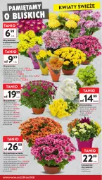 Gazetka promocyjna Intermarche - Gazetka promocyjna - Gazetka - ważna od 29.10 do 29.10.2025 - strona 4 - produkty: Chryzantema, Bukiet, Mięta