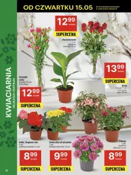 Gazetka promocyjna Delikatesy Centrum - Franczyza DC20 Czwartek - Gazetka - ważna od 21.05 do 21.05.2025 - strona 15 - produkty: Rum, Bukiet