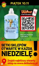 Gazetka promocyjna Delikatesy Centrum - Dyskontowe ceny w Delikatesach Centrum - Gazetka - ważna od 15.11 do 15.11.2023 - strona 4 - produkty: Coccolino, Płyn do płukania